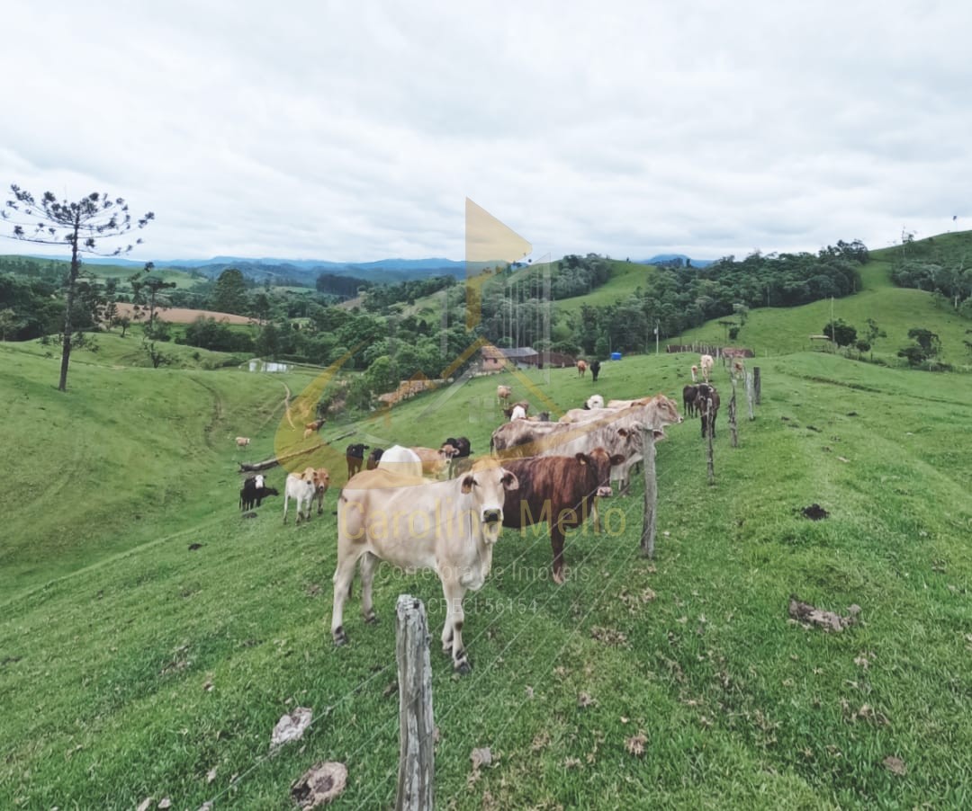 Fazenda para Venda no bairro Rio Azul em Rio do Campo 43,4 hectares