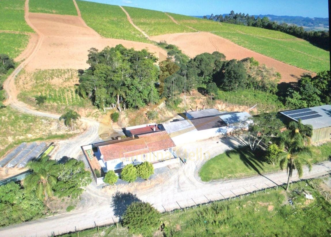 Propriedade Rural Completa para Plantio de FUMO – Serra do Cascalho, Santa Terezinha/SC  