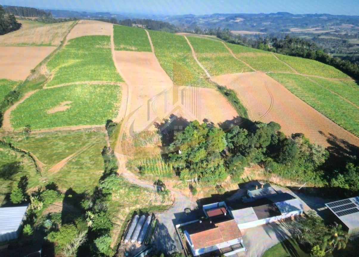 Propriedade Rural Completa para Plantio de FUMO – Serra do Cascalho, Santa Terezinha/SC  