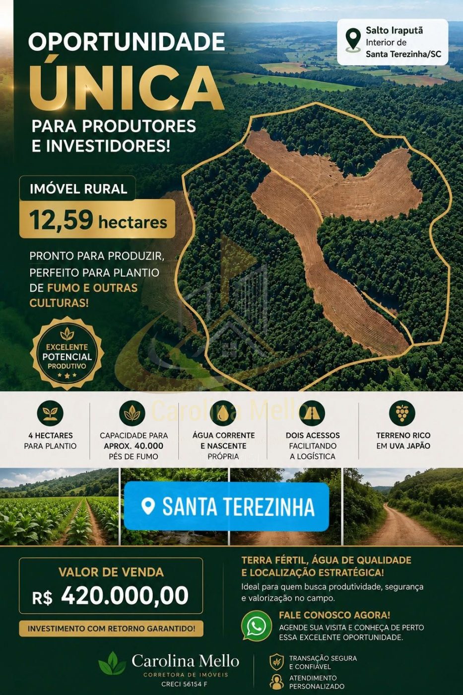  OPORTUNIDADE RARA PARA INVESTIDORES E PRODUTORES RURAIS  SANTA TEREZINHA SC